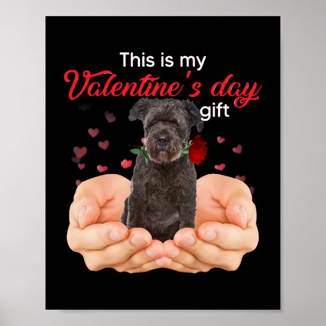 Cute Bouvier Des Flandres This Is My Valentines Da Poster (Front)