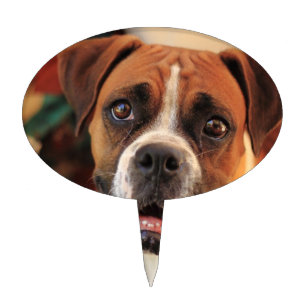 Cute Boxer Cake Topper