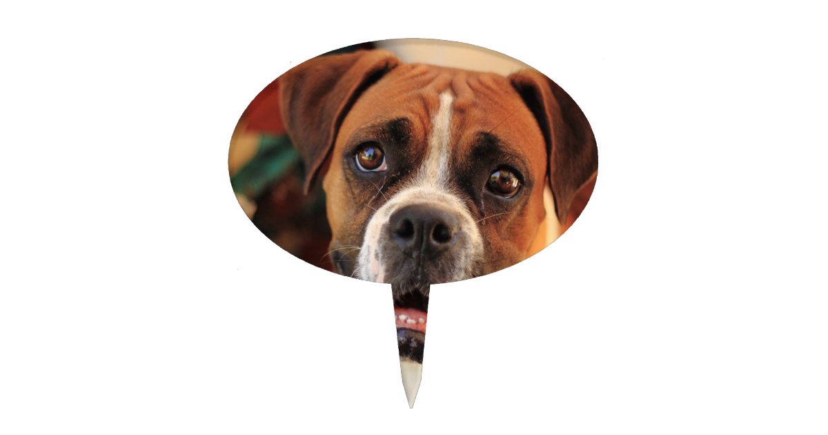 Cute Boxer Cake Topper | Zazzle
