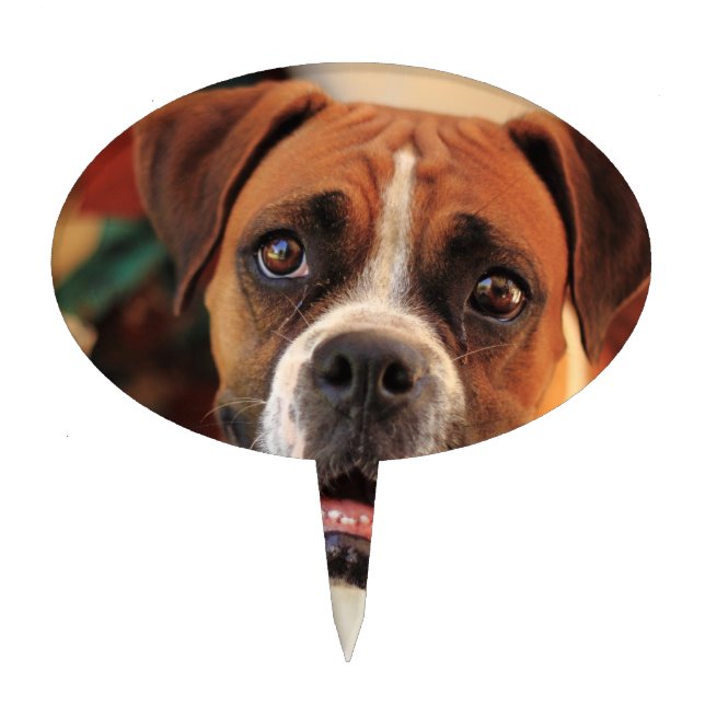 Cute Boxer Cake Topper (Front)