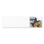 Cute Boxer Dog Bumper Sticker
