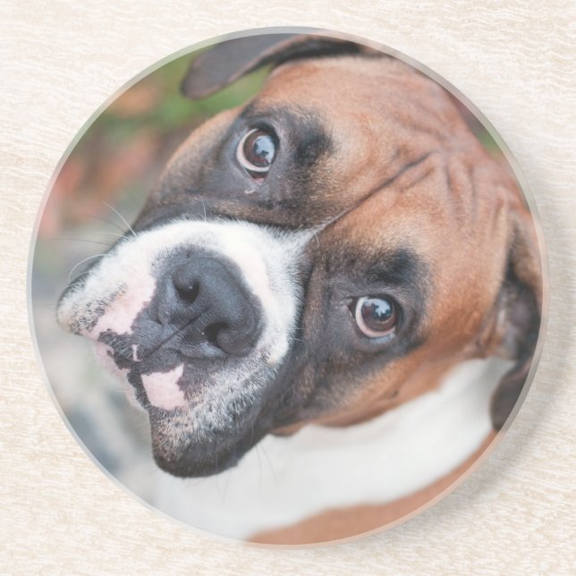 Cute boxer dog coaster (Front)