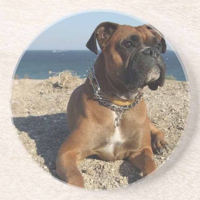 Cute Boxer Dog Coasters (Front)