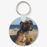 Cute Boxer Dog Keychain