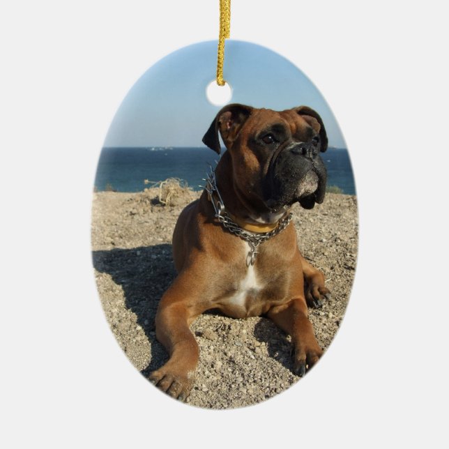 Cute Boxer Dog Ornament (Front)