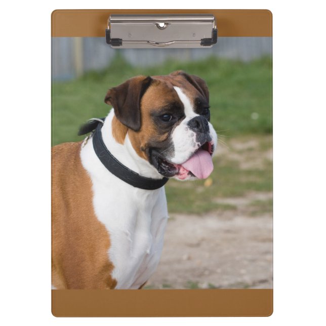 Cute Boxer / Dog Photo Clipboard (Front)