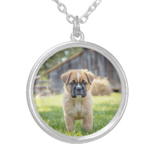 Cute Boxer Dog Round Silver Plated Necklace