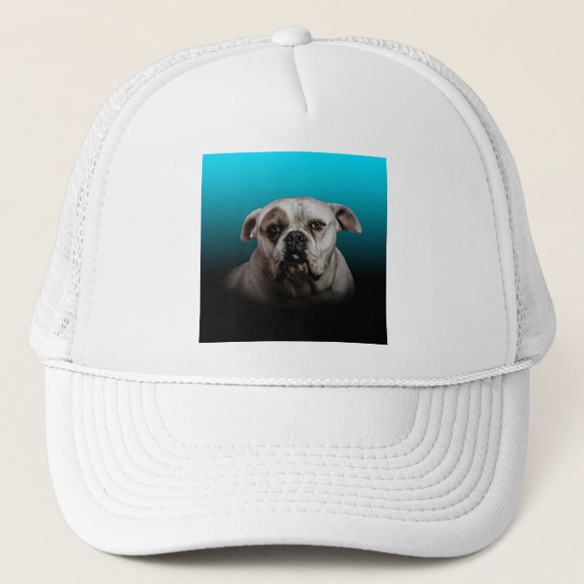 Cute Boxer Dog w Blue Black Gradient  background (Front)