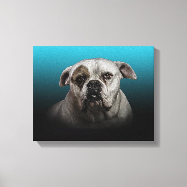 Cute Boxer Dog w Blue Black Gradient background Canvas Print (Front)