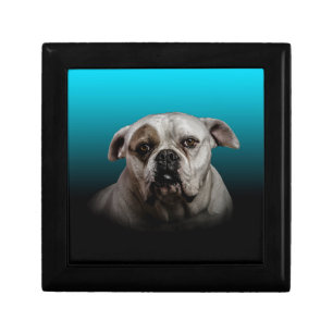Cute Boxer Dog w Blue Black Gradient  background Keepsake Box