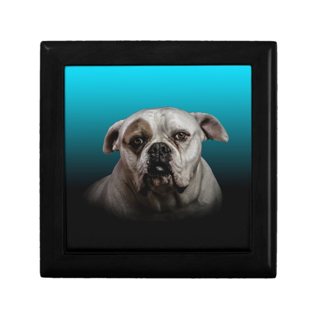 Cute Boxer Dog w Blue Black Gradient  background Keepsake Box (Front)