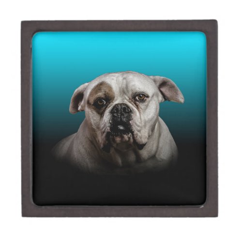 Cute Boxer Dog w Blue Black Gradient  background Keepsake Box