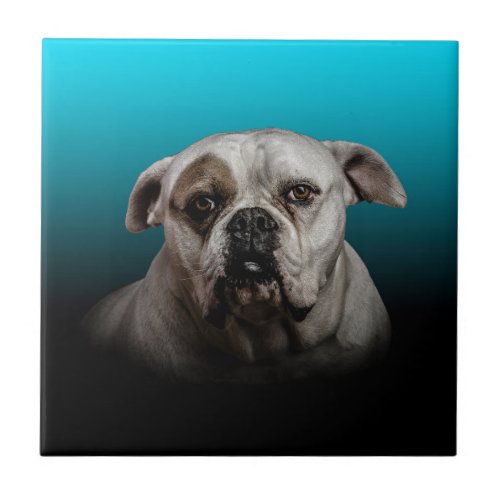 Cute Boxer Dog w Blue Black Gradient  background Tile