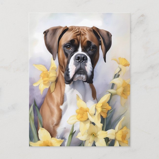 Cute Boxer Dog With Yellow Daffodils Watercolor Postcard (Front)