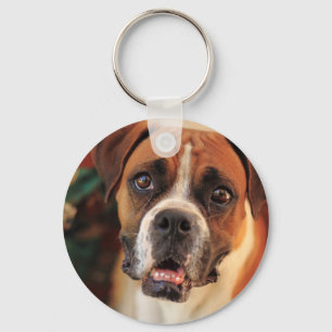 Cute Boxer Keychain