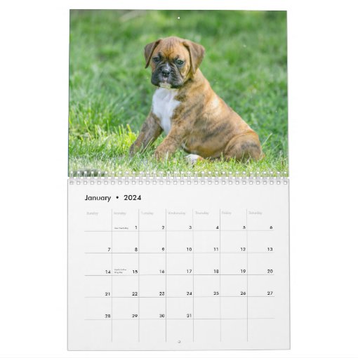 Cute Boxer Puppies Calendar Zazzle