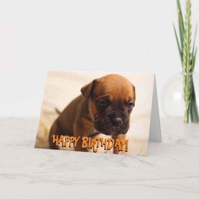Cute boxer puppy birthday card (Front)