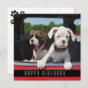 Cute Boxer Puppy Happy Birthday Dogs Announcement