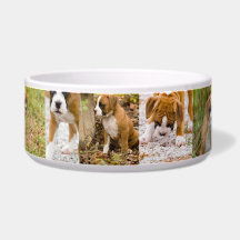 Cute Boxer Puppy Photo Dog Collage Food Water Bowl