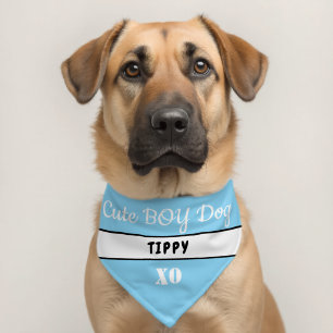 Cute Boy Dog Blue White Name Pet Bandana Collar