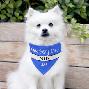 Cute Boy Dog Royal Blue White Name Pet Bandana Collar