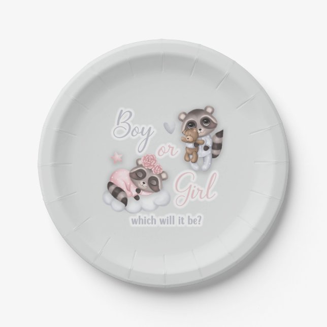 Cute Boy Girl Baby Raccoons Gender Reveal Paper Plates (Front)