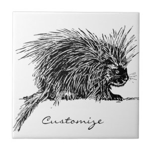 Cute Bristly Hedgehog Thunder_Cove Ceramic Tile