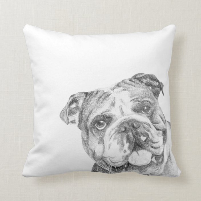 bulldog cushion