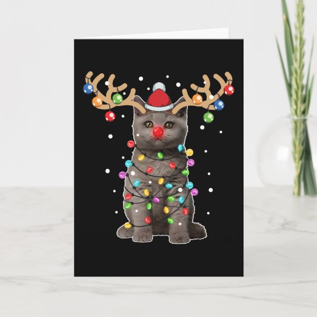 Cute British Shorthair Cat Funny Christmas Holiday Card (Front)