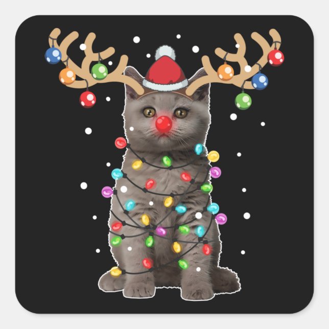 Cute British Shorthair Cat Funny Christmas Holiday Square Sticker (Front)