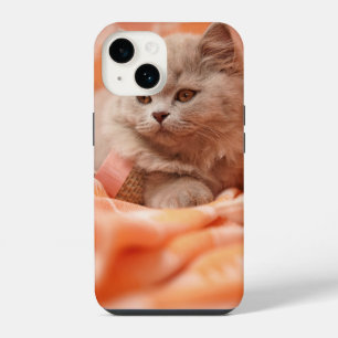 Cute British Shorthair Cat iPhone 14 Case