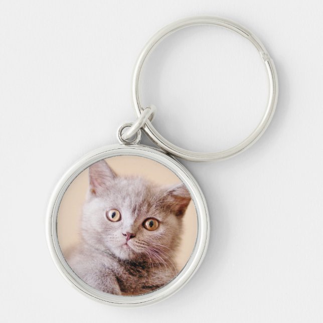 Cute British Shorthair Cat Keychain (Front)