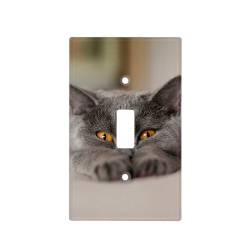 Cute British Shorthair cat Light Switch Cover