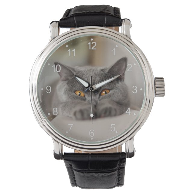 Cute British Shorthair cat Watch (Front)