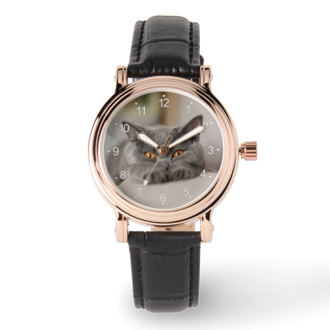 Cute British Shorthair cat Watch (Front)