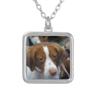 Cute Brittany Spaniel Silver Plated Necklace