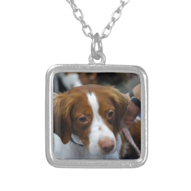 Cute Brittany Spaniel Silver Plated Necklace (Front)