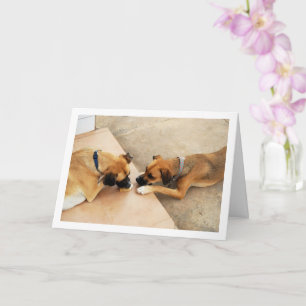 Cute Brother and Sister, Dog Portrait Card