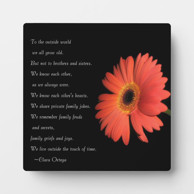 Cute Brother / Sister Siblings Birthday  Plaque (Front)