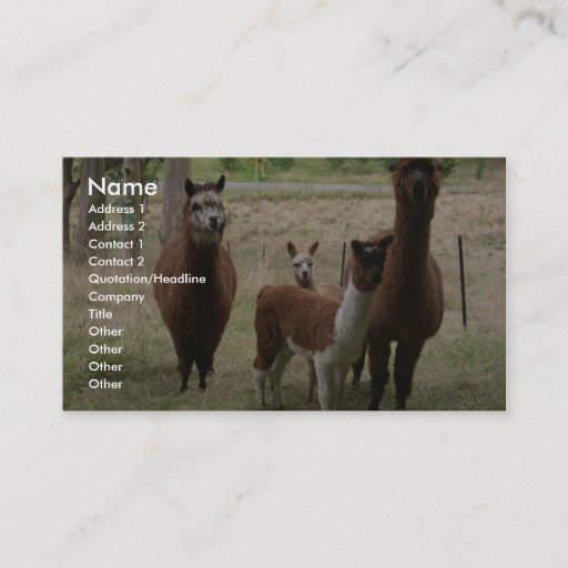 Customizable Cute Brown Alpacas In The Zoo Business Card