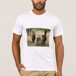 Cute Brown Alpacas In The Zoo T-Shirt