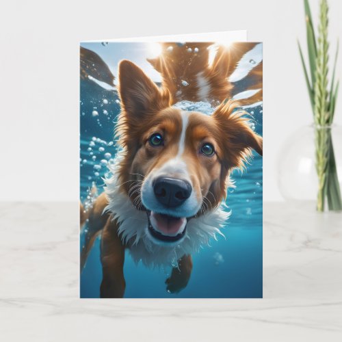 Cute Brown and White Dog Underwater Blank Card