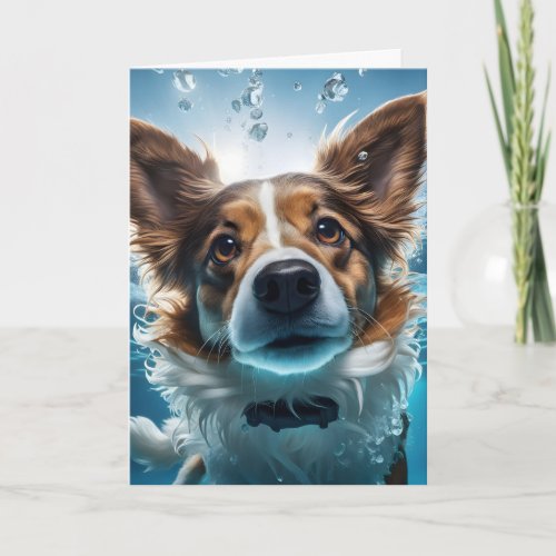 Cute Brown and White Dog Underwater Swimming  Card