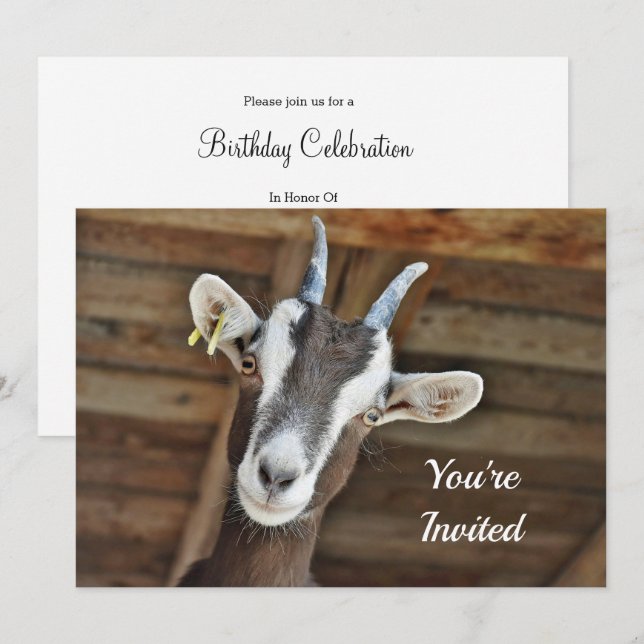 Cute Brown and White Goat Photo Birthday Invitation (Front/Back)