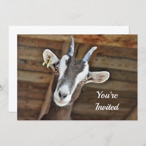 Cute Brown and White Goat Photo Birthday Invitation