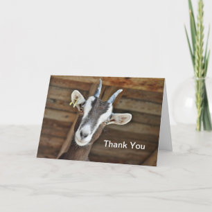 Cute Brown and White Goat Photo Letterpress Thank You Card
