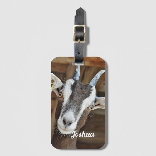 Cute Brown and White Goat Photo Luggage Tag