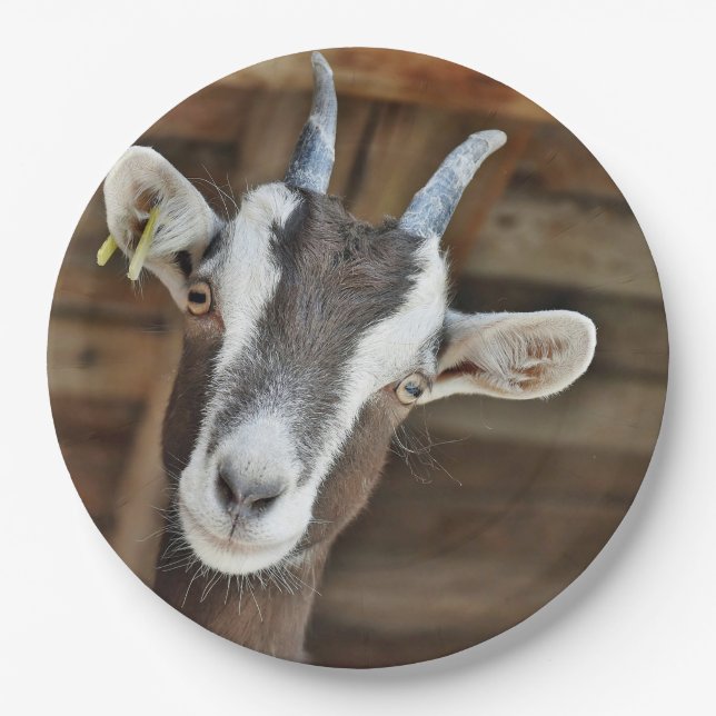 Cute Brown and White Goat Photo Paper Plates (Front)