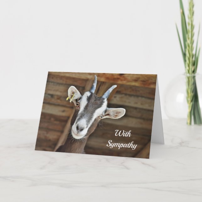 Cute Brown and White Goat Photo Sympathy Card (Front)