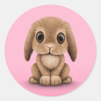 Cute Brown Baby Bunny Rabbit On Pink Classic Round Sticker by crazycreatures at Zazzle